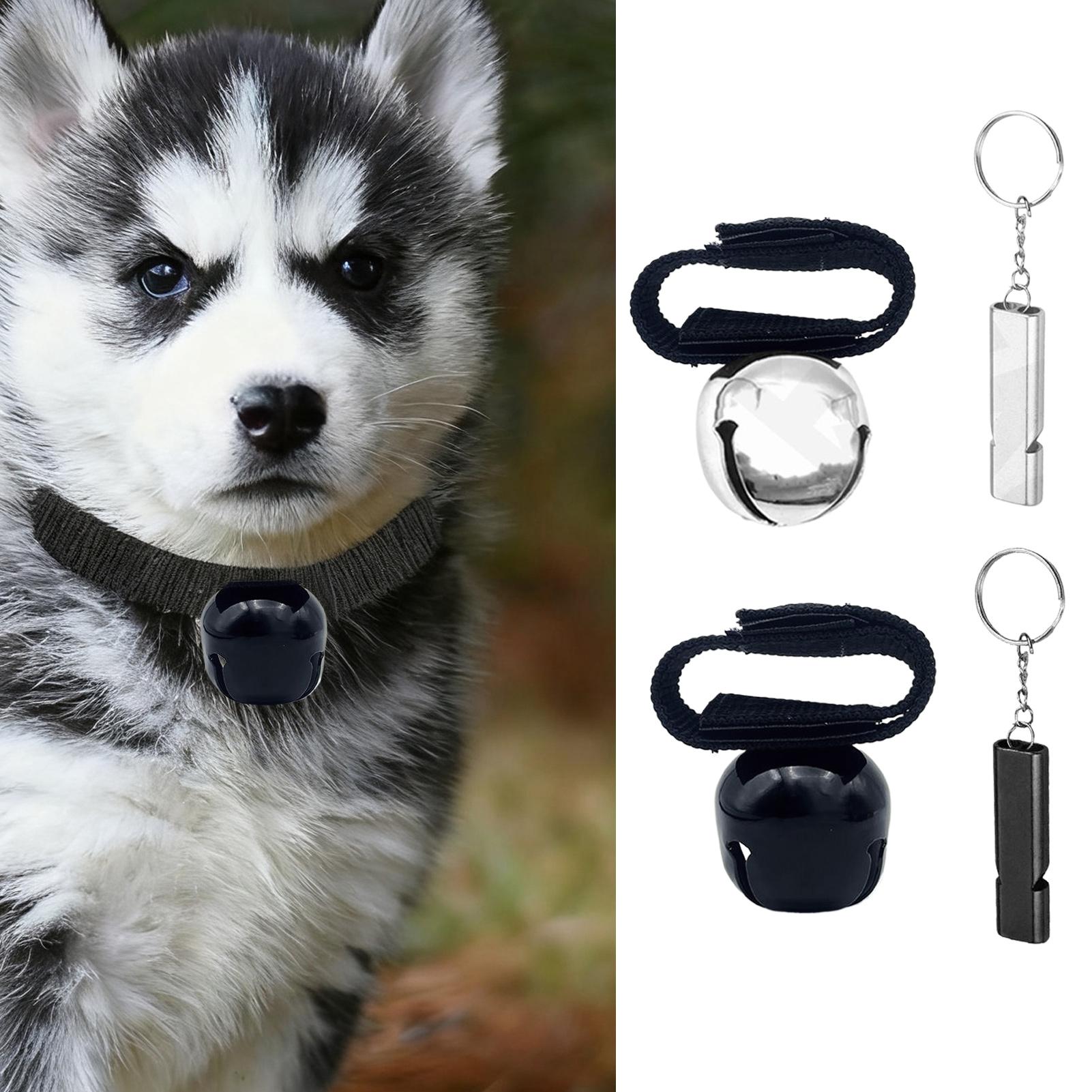 Running Gear On - Ultimate Bear Safety Gear Campainha e
